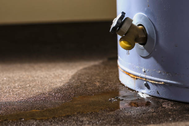 Reliable WY Water damage restoration Solutions