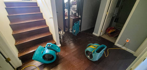  Lovell, WY Water damage restoration Pros