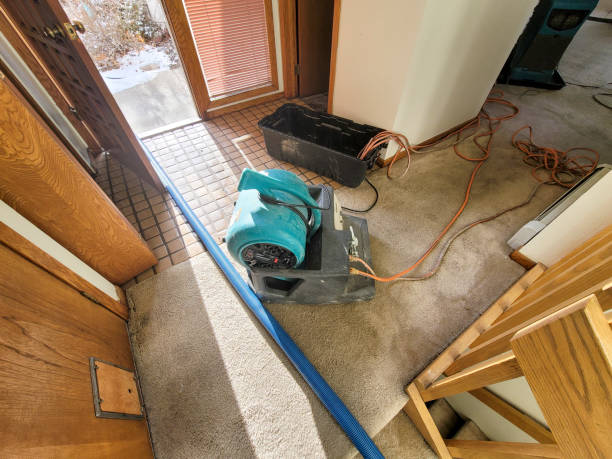 Best Fire Damage Restoration  in Lovell, WY