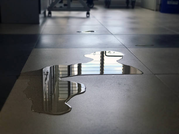 Best Water damage mitigation services  in Lovell, WY