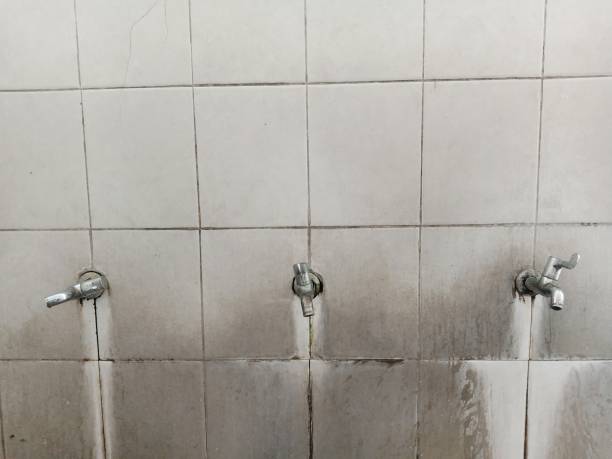 Best Flood restoration services  in Lovell, WY