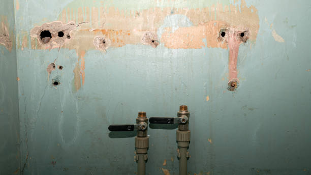 Best Flood damage cleanup  in Lovell, WY