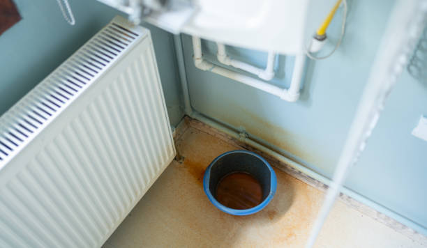 Best Water damage repair service  in Lovell, WY